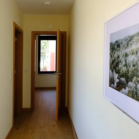 Pequena Casa T1 Com Cozinha E Pátio Privado Apartamento Seia